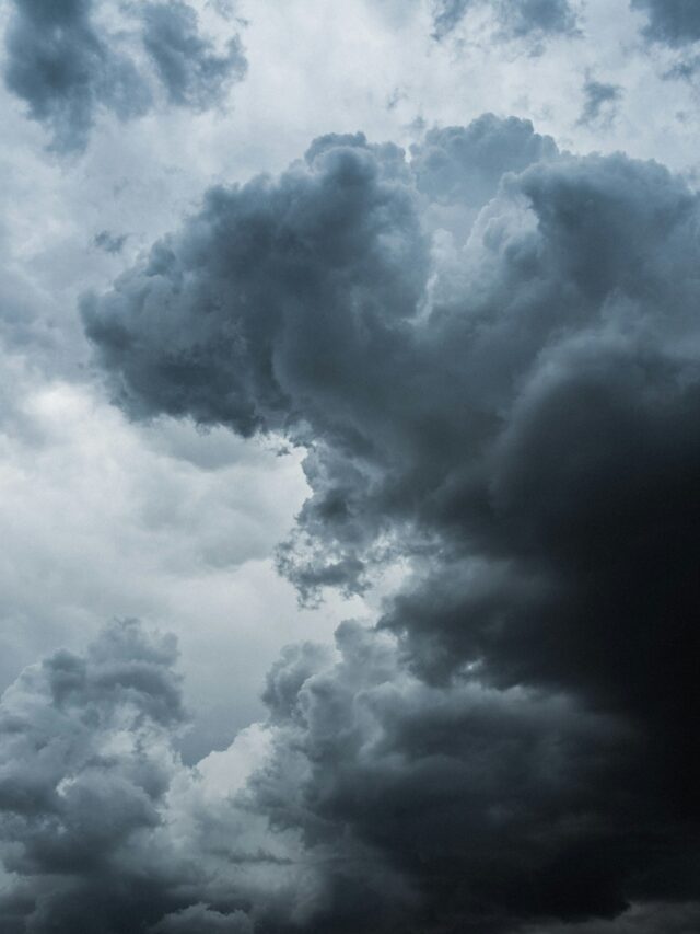 Feel the Rain