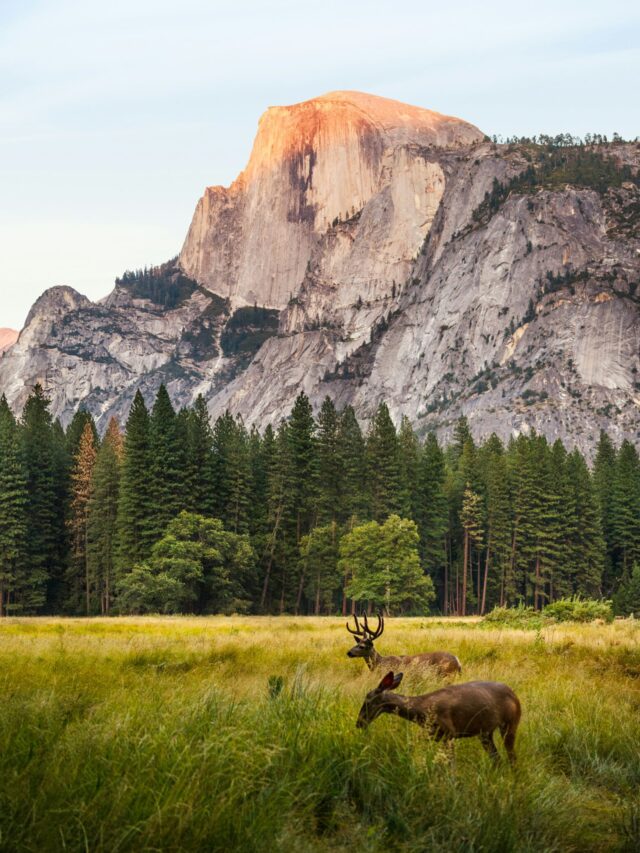 The Mountains